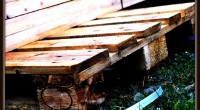 palette-bois