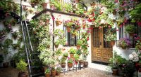 porte patio