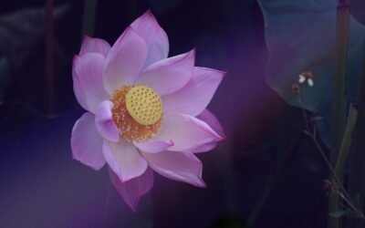 Les couleurs à éviter dans un intérieur zen : Les nuances à proscrire pour un environnement apaisant