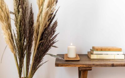 Décoration éco-responsable : tendances et magasins