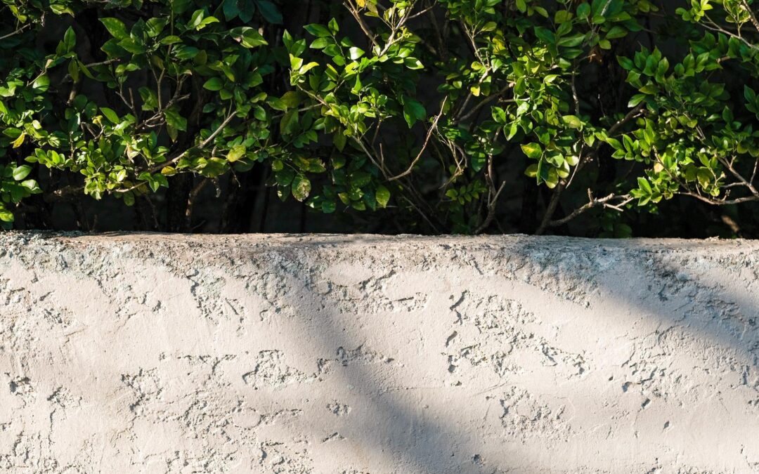 DIY : créer une jardinière en béton pour une déco extérieure tendance