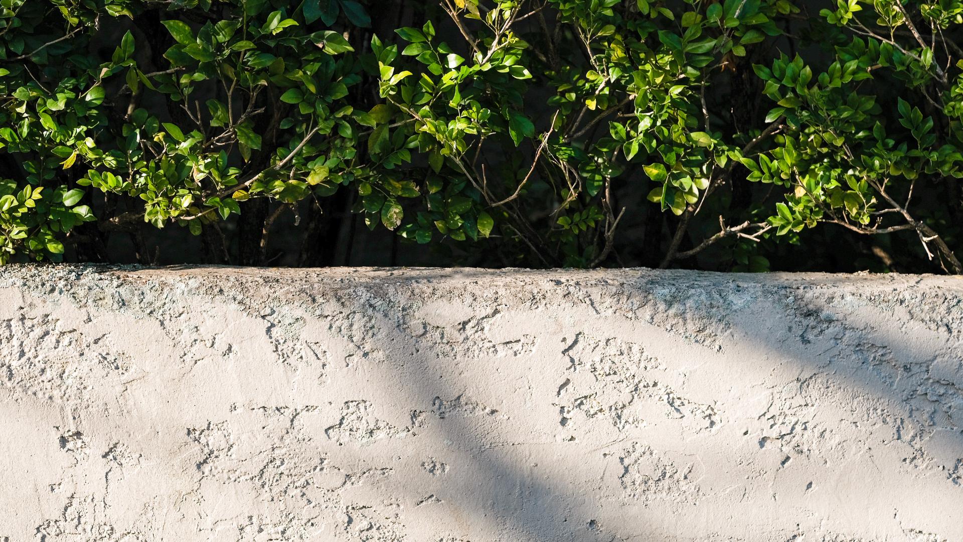 jardinière en béton